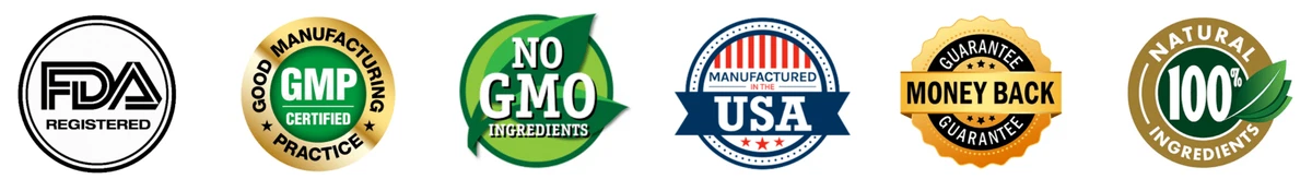 Biodentex certification